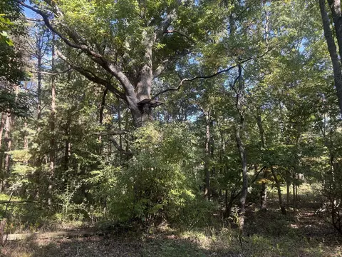 Exterior - 1170 Somers, Lyons, MI 48851 photo 26 of 32