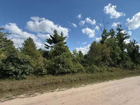 Cook Street, Idlewild, MI 49642