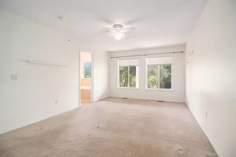 3164 Asher, Ann Arbor, MI 48104 photo 18