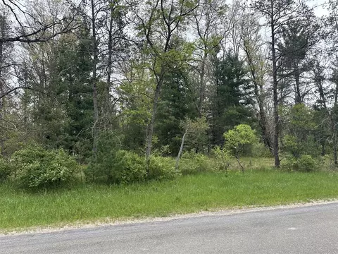 00 S Forman, Idlewild, MI 49642