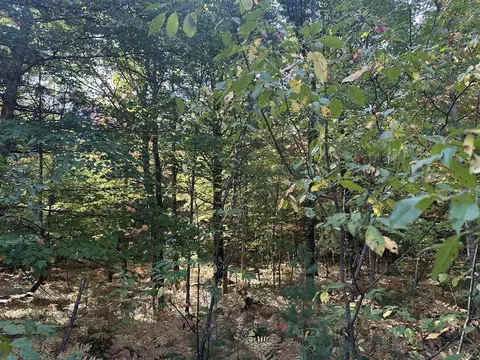 Par A 16th, Baldwin, MI 49304 photo 3