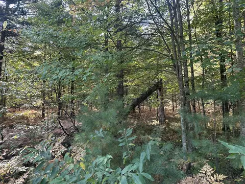 Par A 16th, Baldwin, MI 49304 photo 5