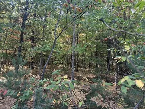 Par A 16th, Baldwin, MI 49304 photo 4