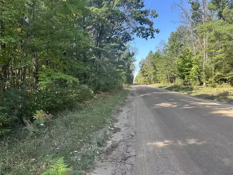 Par B 16th, Baldwin, MI 49304 photo 2