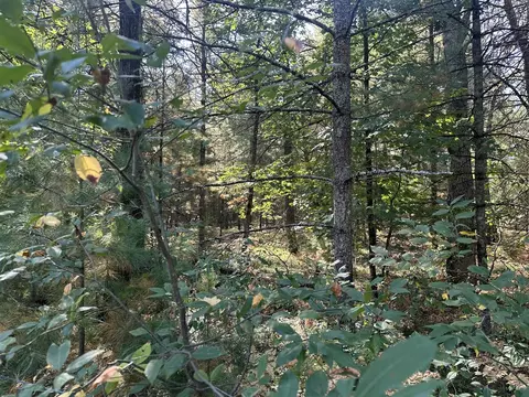 Par B 16th, Baldwin, MI 49304 photo 5