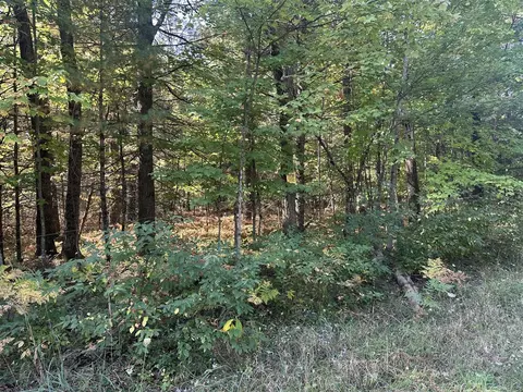 Par B 16th, Baldwin, MI 49304 photo 4