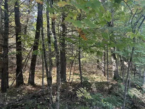 Par B 16th, Baldwin, MI 49304 photo 3