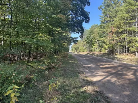 Par D 16th, Baldwin, MI 49304 photo 2