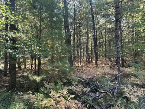 Par D 16th, Baldwin, MI 49304 photo 3