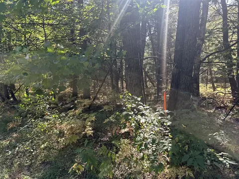 Par D 16th, Baldwin, MI 49304 photo 5