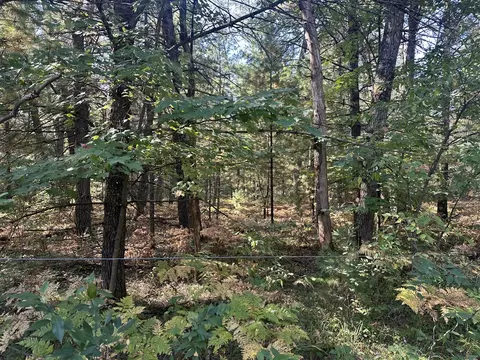 Par C 16th, Baldwin, MI 49304 photo 3