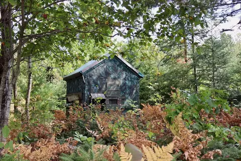 11920 Cedar, Lake, MI 48632