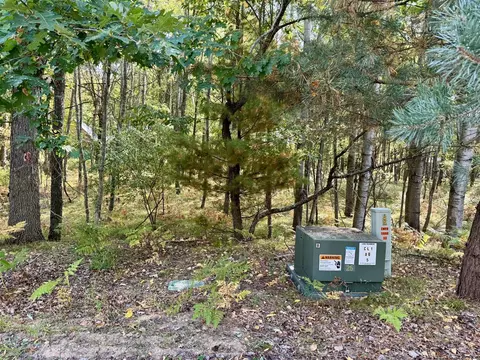 6742 Abbey, Canadian Lakes, MI 49346