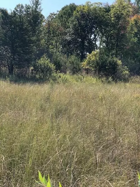 2 Pike, Union, MI 49130 photo 2