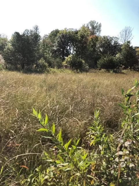 3 Pike, Union, MI 49130 photo 2