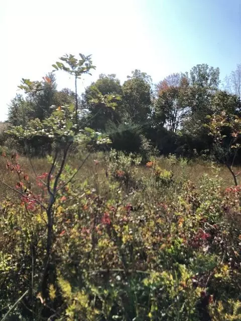 1 Pike, Union, MI 49130 photo 2