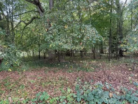 129 Midway, Belding, MI 48809 photo 9