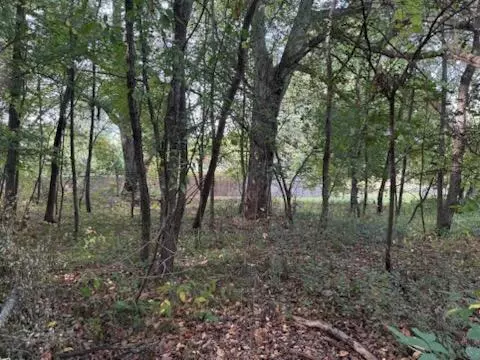 129 Midway, Belding, MI 48809