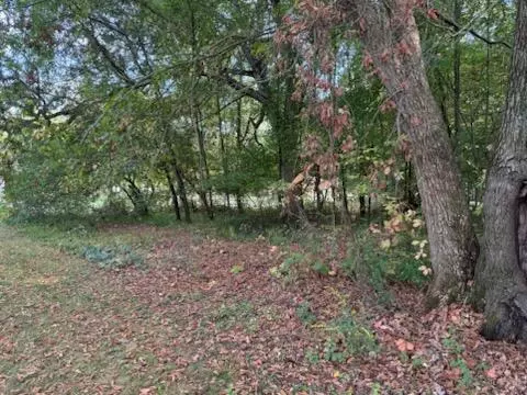 129 Midway, Belding, MI 48809 photo 11