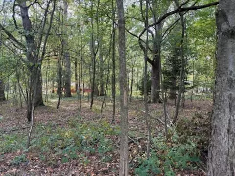 129 Midway, Belding, MI 48809 photo 6