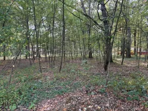 129 Midway, Belding, MI 48809 photo 7