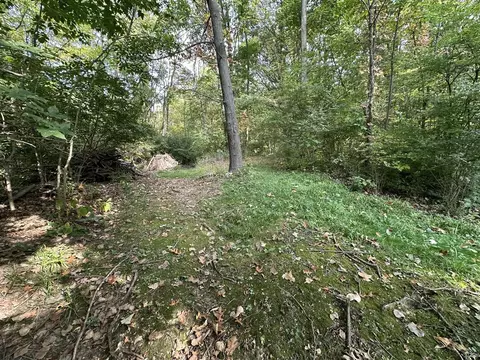 6990 Cuff, Jackson, MI 49201 photo 23