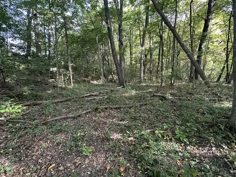 6990 Cuff, Jackson, MI 49201 photo 30