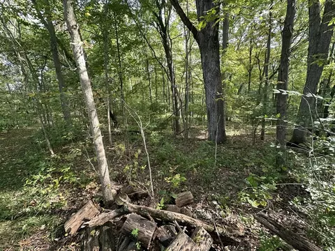 6990 Cuff, Jackson, MI 49201 photo 26