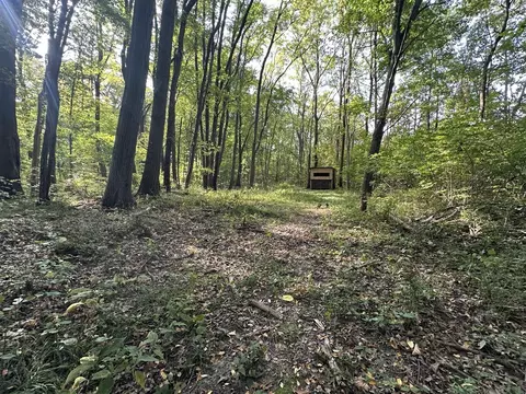 6990 Cuff, Jackson, MI 49201 photo 31