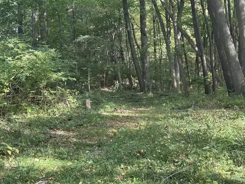 6990 Cuff, Jackson, MI 49201 photo 29