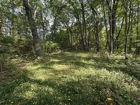 6990 Cuff, Jackson, MI 49201 photo 28