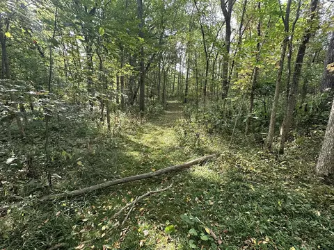 6990 Cuff, Jackson, MI 49201 photo 32