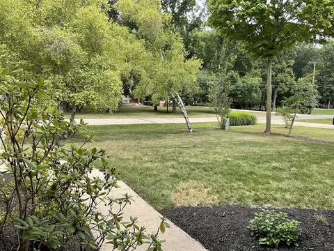Exterior - 8587 Stout, Grosse Ile, MI 48138 photo 5 of 10