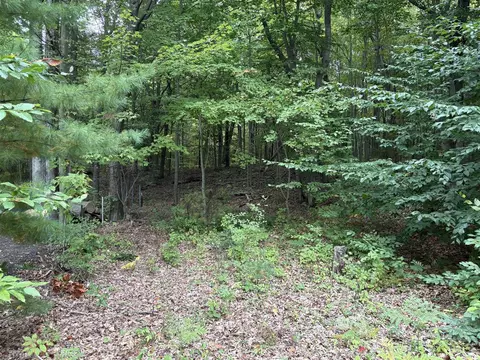 lot62 14th Ave, Mears, MI 49436
