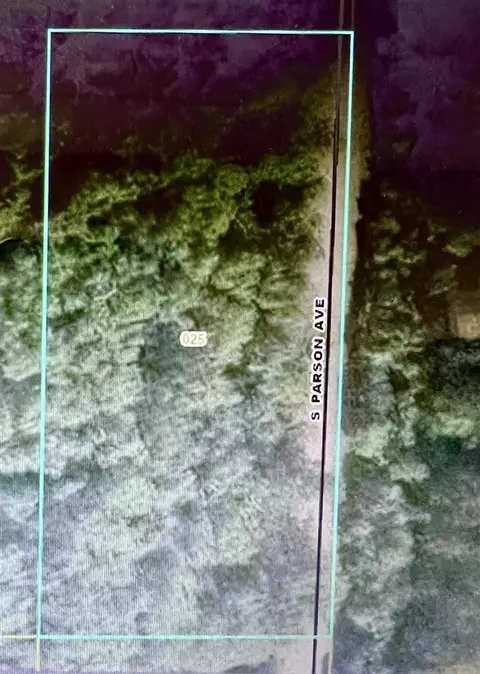 2203 S Parsons, Fremont, MI 49412