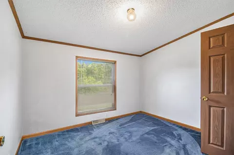 3043 E Sidney, Sheridan, MI 48884 photo 13