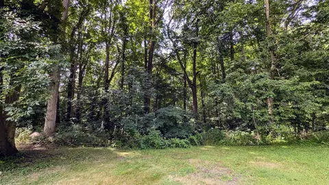 59446 Ferguson, Three Rivers, MI 49093 photo 46