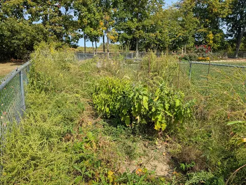 Other - 752 Pasadena, Owosso, MI 48867 photo 12 of 13