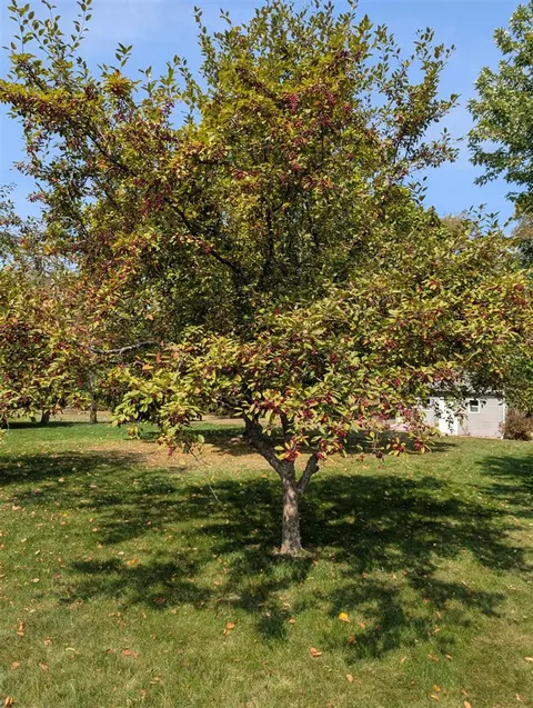 Exterior - 752 Pasadena, Owosso, MI 48867 photo 5 of 7