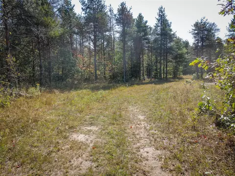 2969 E Loop, Hesperia, MI 49421 photo 11