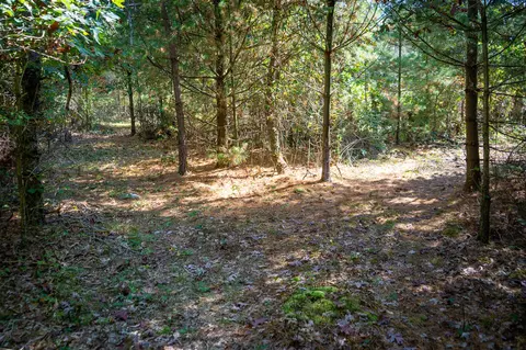2969 E Loop, Hesperia, MI 49421 photo 33