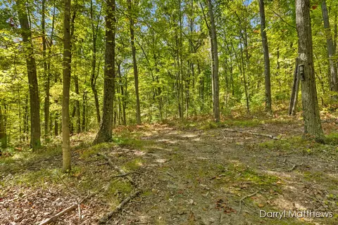 916 E 6 Mile, White Cloud, MI 49349 photo 5