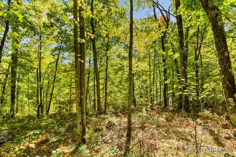 916 E 6 Mile, White Cloud, MI 49349 photo 6