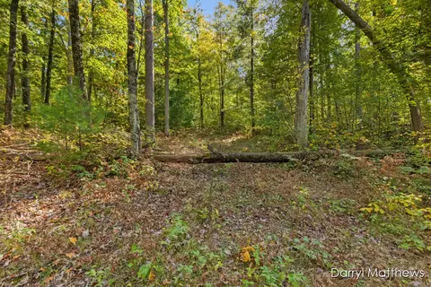 916 E 6 Mile, White Cloud, MI 49349 photo 20