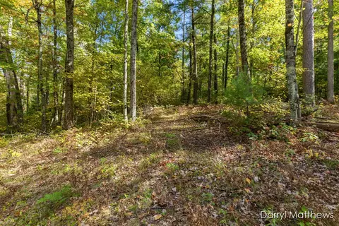 916 E 6 Mile, White Cloud, MI 49349 photo 19