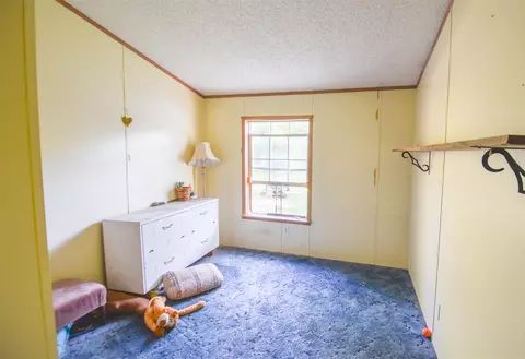 202 Dons, Coldwater, MI 49036 photo 19