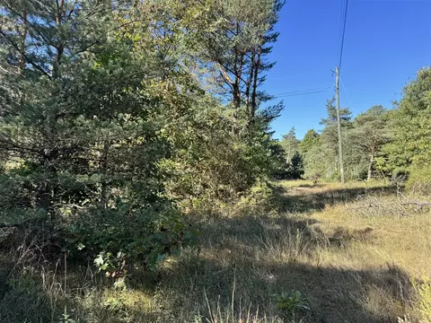 V/l S Tall Pine, Newaygo, MI 49337