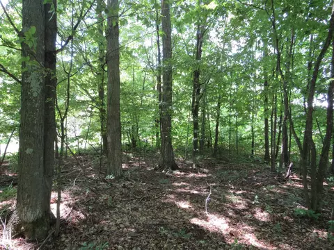 Vl E 16 Road, Manton, MI 49663 photo 19