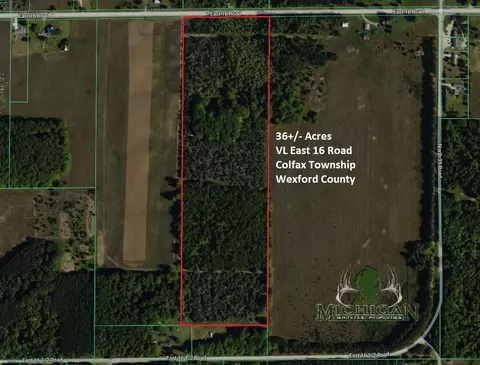 Vl E 16 Road, Manton, MI 49663