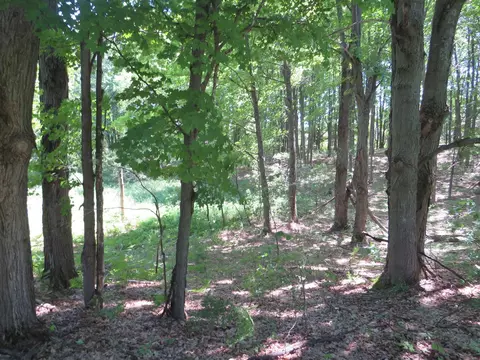 Vl E 16 Road, Manton, MI 49663 photo 7